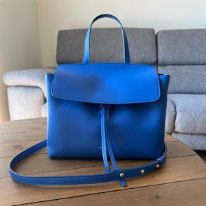 Mansur Gavriel Lady Bag in Blue